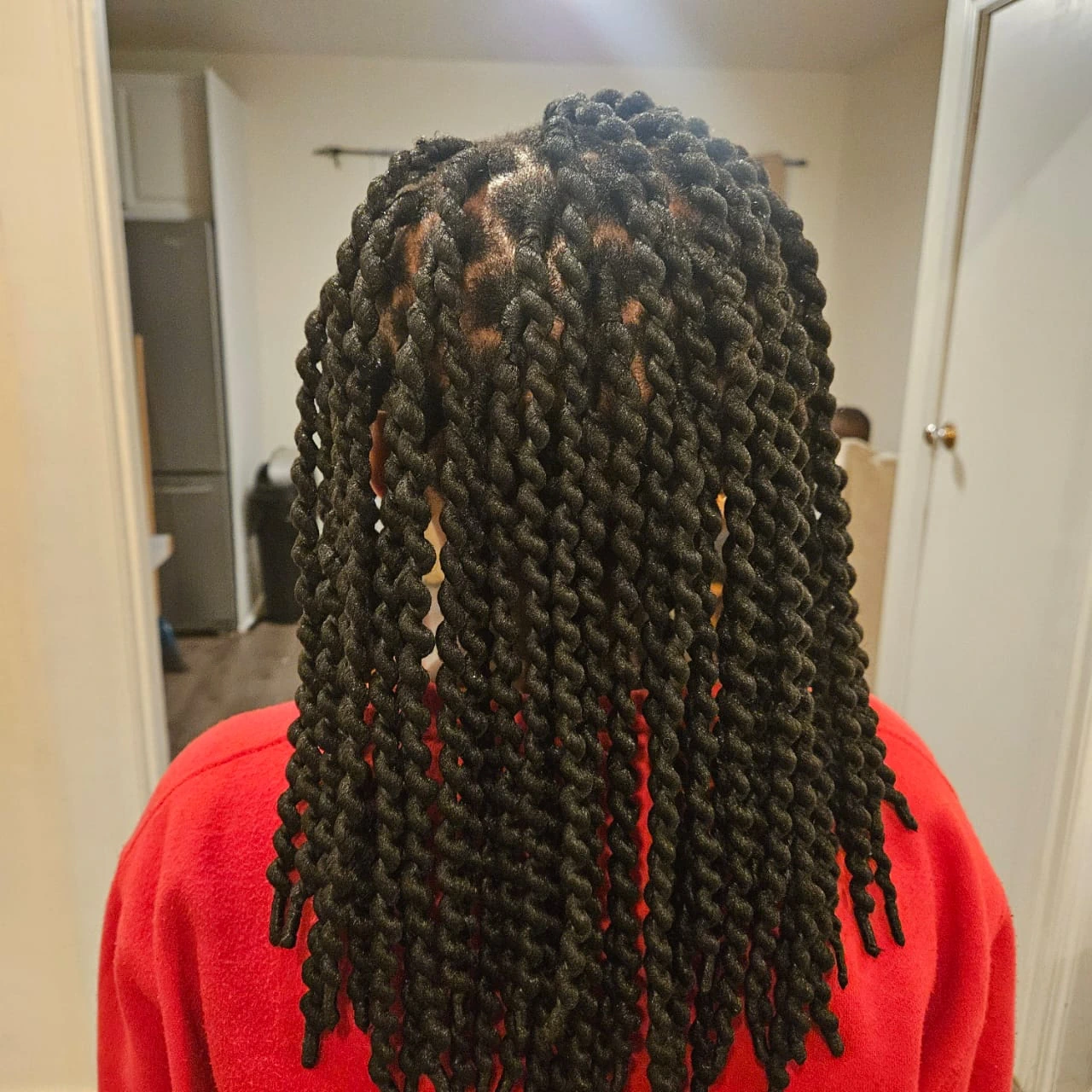 Back view of a young client with thick two-strand twists, demonstrating our gentle kids styling and natural hair care services.